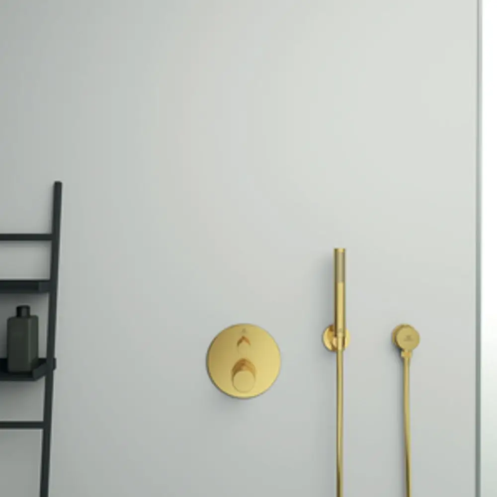 IS-Stabhandbrause-Idealrain-Brushed-Gold-BC774A2 gallery number 2